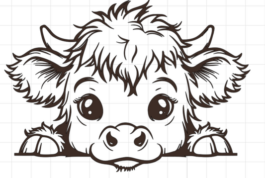 Baby Highland Cow Car decal